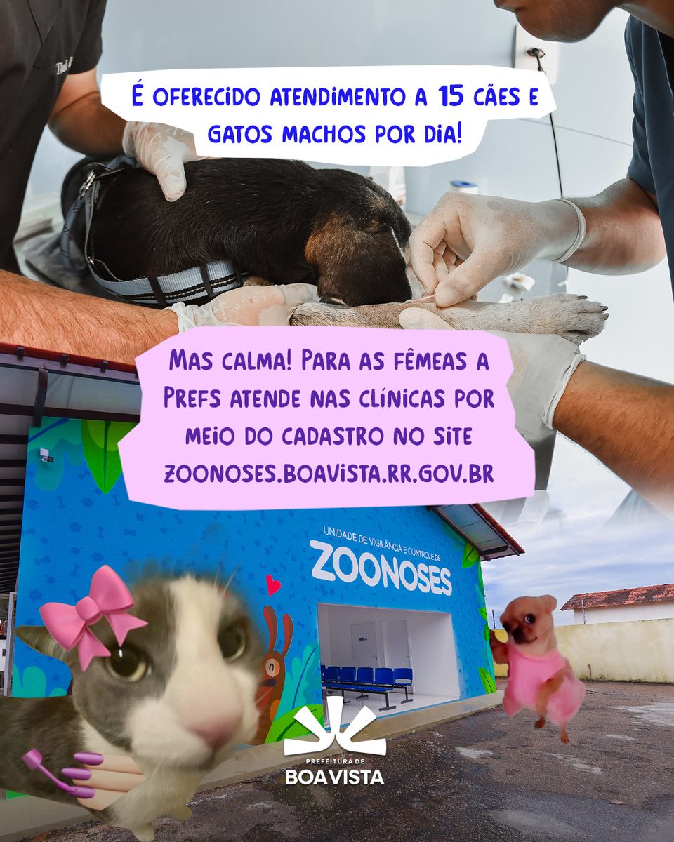 prefeiturabv's tweet photo. ALÔ SÃO BENTO!🗣️ https://t.co/0ekwEosYQ6
