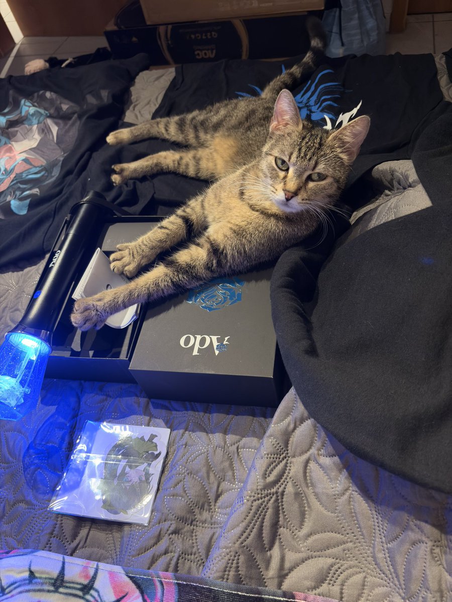 zero8473's tweet photo. Acquired some @ado1024imokenp merch at the concert in Antwerp. My cat approves (^v^). Time to start a collection #AdoHibana https://t.co/g0nbtwXdkY