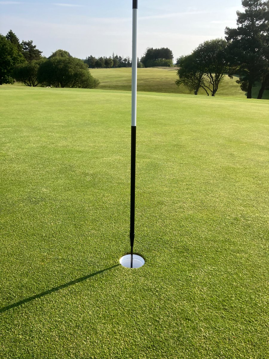 Members and visitors are loving the new thin pins 👌🏻 <a href="/GiffordGolfClub/">GiffordGolfClub</a> <a href="/GroGreenLtd/">groGreen</a>