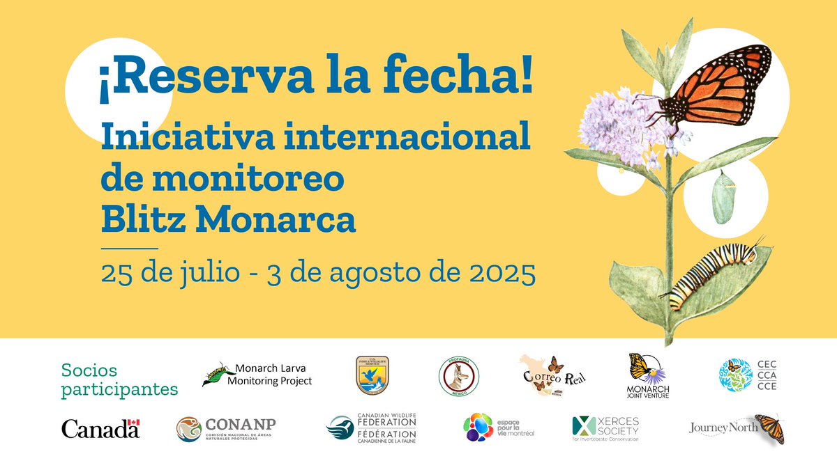 Comisión para la Cooperación Ambiental (@cca_espanol) on Twitter photo Aparta la fecha p/ la 9a edición de la iniciativa #BlitzMonarca 25 JUL-3 AGO.
¡Las personas voluntarias pueden colaborar con observaciones para apoyar la conservación de la 🦋!
Lee + sobre la iniciativa Blitz Monarca y mantente al tanto: 🇨🇦🇺🇸🇲🇽
👉cec.org/es/newsletter/… Aparta la fecha p/ la 9a edición de la iniciativa #BlitzMonarca 25 JUL-3 AGO.
¡Las personas voluntarias pueden colaborar con observaciones para apoyar la conservación de la 🦋!
Lee + sobre la iniciativa Blitz Monarca y mantente al tanto: 🇨🇦🇺🇸🇲🇽
👉cec.org/es/newsletter/…