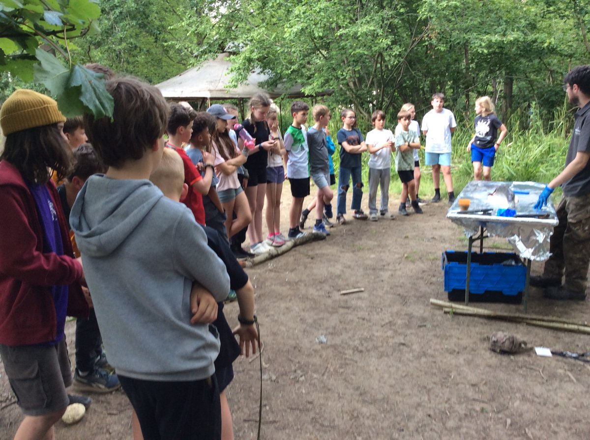 Willingham P School tweet media