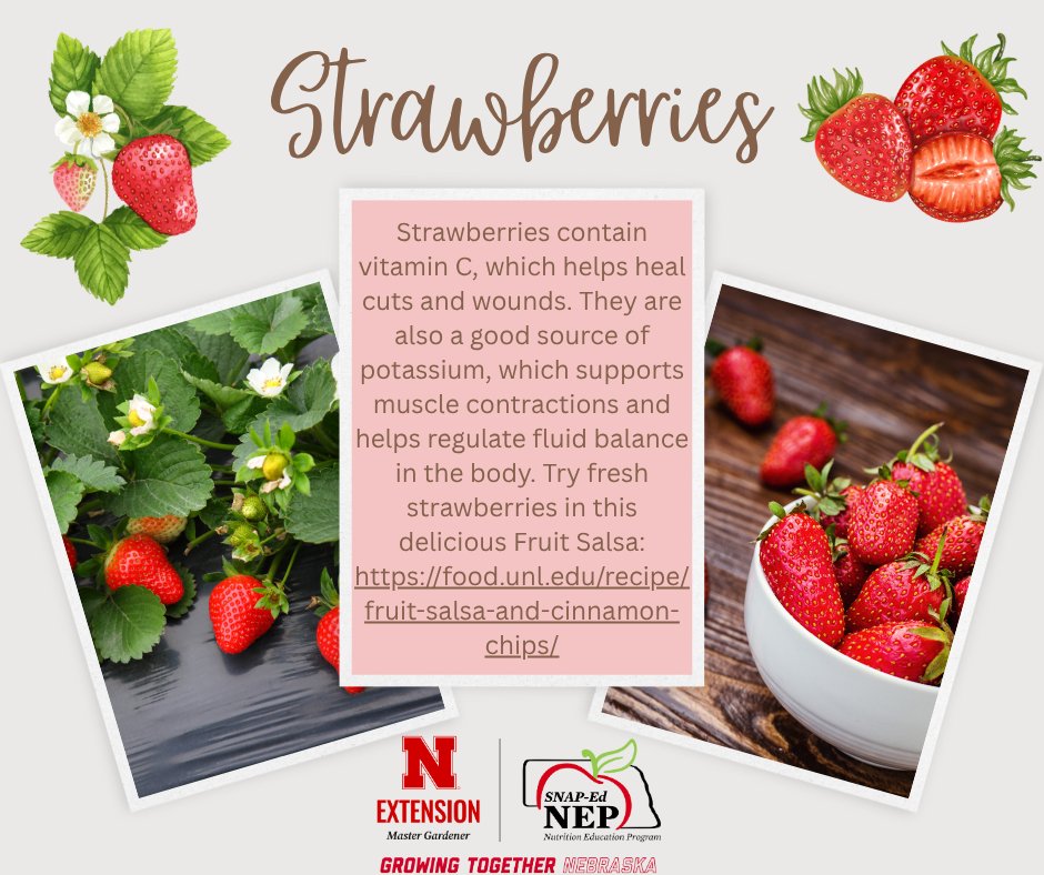 Did you know strawberries are packed with vitamin C to help heal cuts and wounds? They're also a great source of potassium, which supports muscle function and keeps fluid levels balanced.

Try them fresh in this tasty fruit salsa recipe! 👉 go.unl.edu/tmj7
#SNAPedWorks