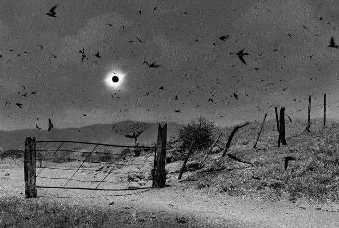 Stunning photograph of the total solar eclipse on July 11, 1991, taken by Antonio Turok in Chiapas, Mexico.