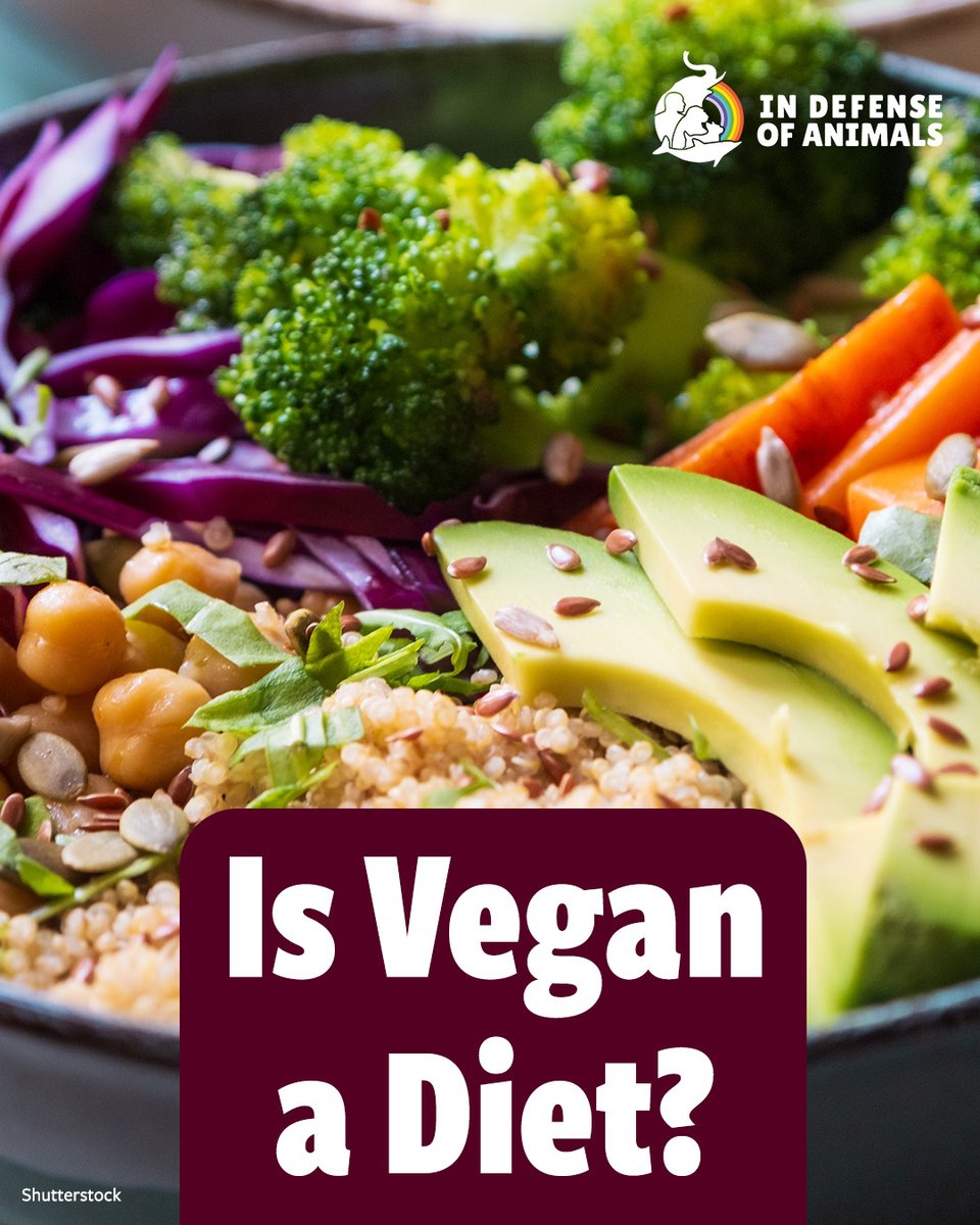 IDAUSA's tweet image. #Veganism is not a diet—it’s a stance against #AnimalExploitation &amp;amp; rejecting the idea that animals exist for us to use. They’re not food, clothing, or tools. They’re someone's, not somethings. Choose justice. Choose #Compassion. Choose #Vegan.
WATCH: bit.ly/4kEpjVz