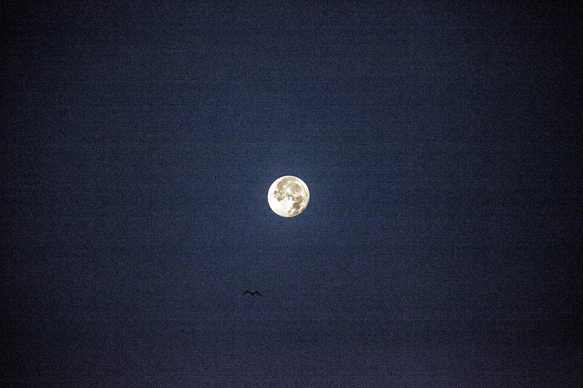 Vollmond