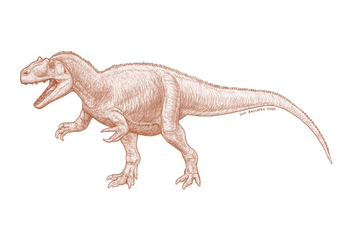 Ian Baylatry tweet media