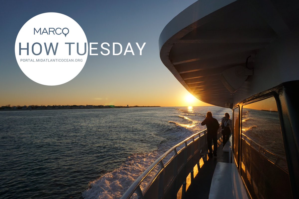 Are you a newcomer interested in a Portal 101 tutorial or a returning user who could use a refresher? Join us June 24 at noon for a #HowTuesday lesson on our data, tools and features. Details/registration: portal.midatlanticocean.org/calendar/how-t…