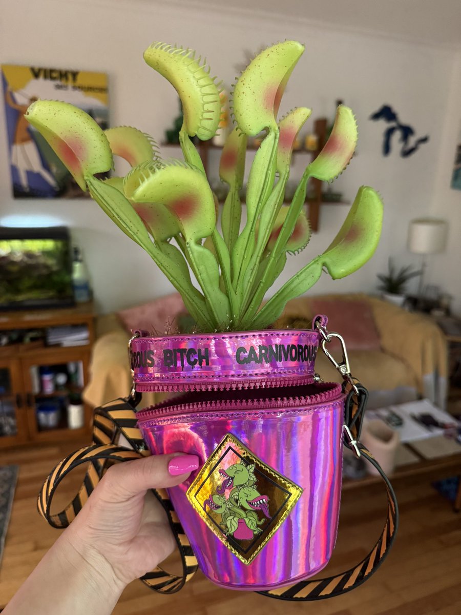 Sometimes you see a thing and think, well that was clearly MADE for ME, I need it immediately