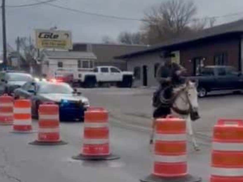 barstoolsports's tweet photo. Welcome To Kentucky: A Murray Man Named 'Cowboy Cody' Was Arrested For Releasing A Raccoon In A Bar For Revenge After Getting Banned Due To A Drunken Mule Incident https://t.co/XxSn0BC1QK https://t.co/oVwJNaMPTp