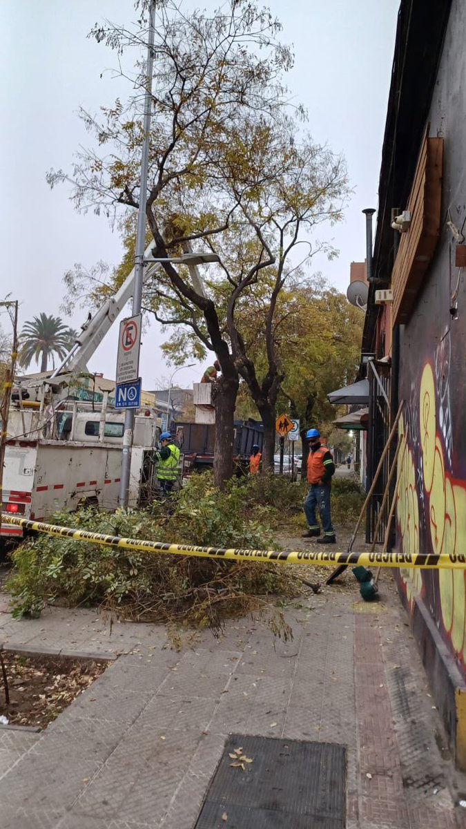 Nuestros equipos municipales no se detienen. 

Durante estos días nuestros funcionarios se encuentran desplegados en distintos barrios de Santiago realizando trabajos preventivos ante el sistema frontal que se aproxima. Estas labores incluyen podas de árboles, limpieza de