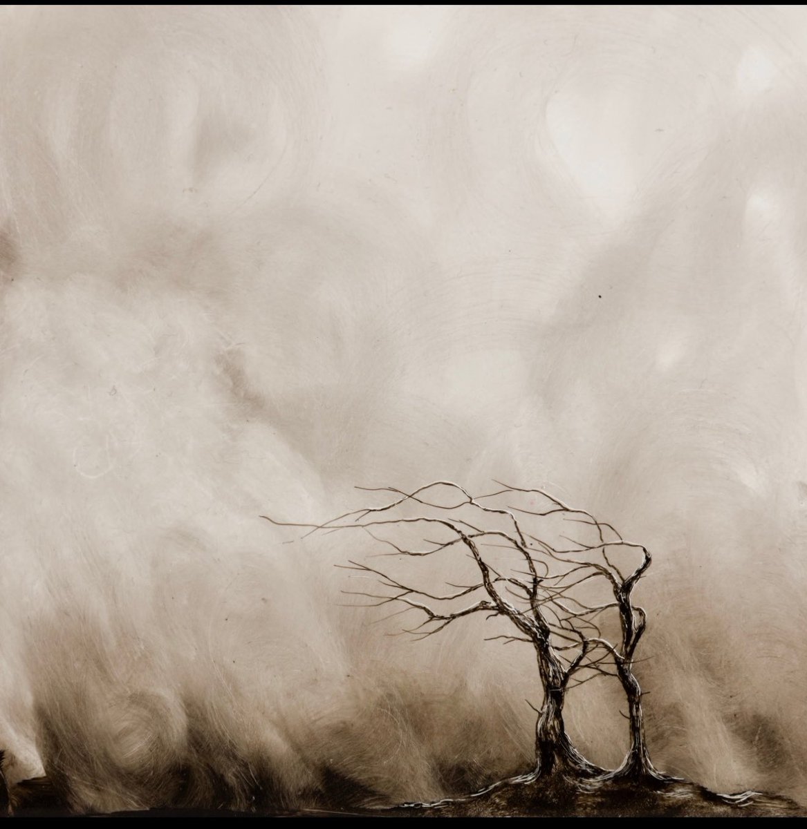 The Trees 

#southwesterly 
#ink
#handpainted