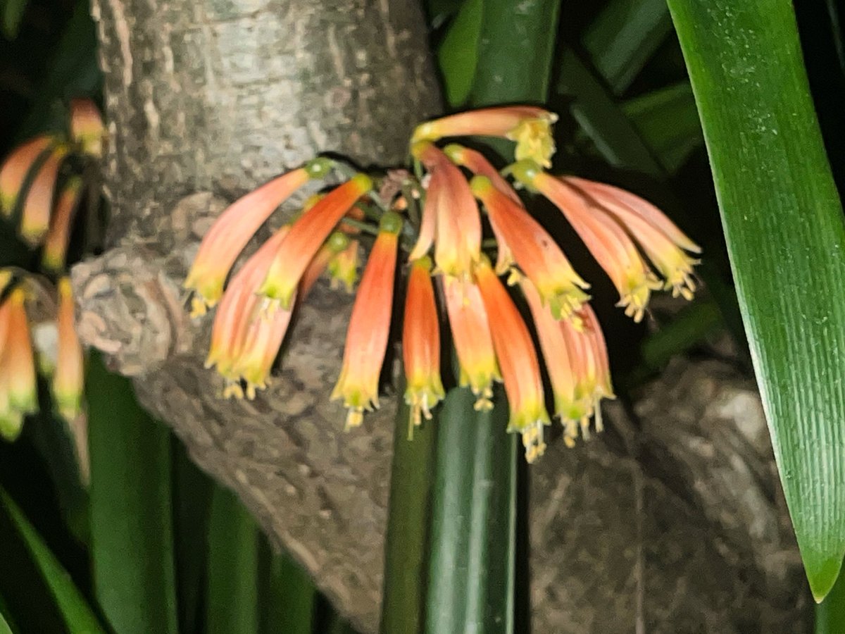 Happy Thursday #bloomscrolling