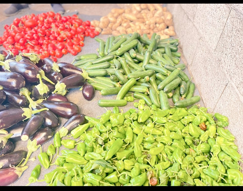 Vegetable prices in Gaza today

A kilo of potatoes: 90 shekels 25$
A kilo of eggplant: 43 shekels  $11.94

A kilo of green pepper: 72 shekels 20 $
A kilo of tomato: 45 shekels $12.5

Cucumber kilo: 55 shekels 15.28$

Kilo of okra:  ≈ $55.56
gofund.me/b450d314