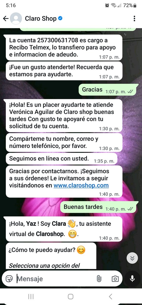 Yazmín Mezquita tweet media