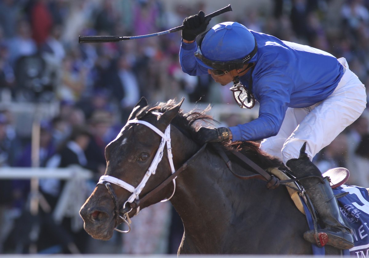 Champion filly Immersive returns to action in Monomoy Girl. 🏆 

Vance Hanson previews the race. ⤵️ 

spr.ly/60144Jmwn