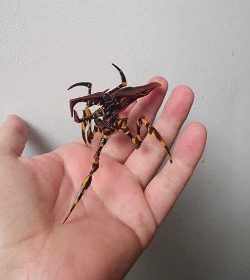 Creepy.org tweet media