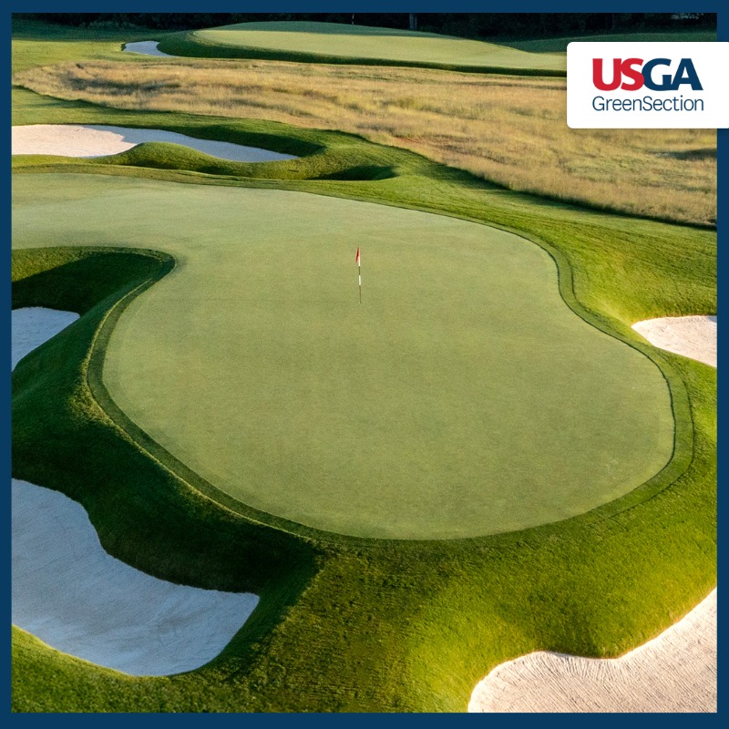 USGAGrnSection's tweet photo. Poa annua greens have a checkered reputation, but they also provide great putting surfaces like the ones at Oakmont. In the right circumstances, there are plenty of reasons to praise Poa 👇