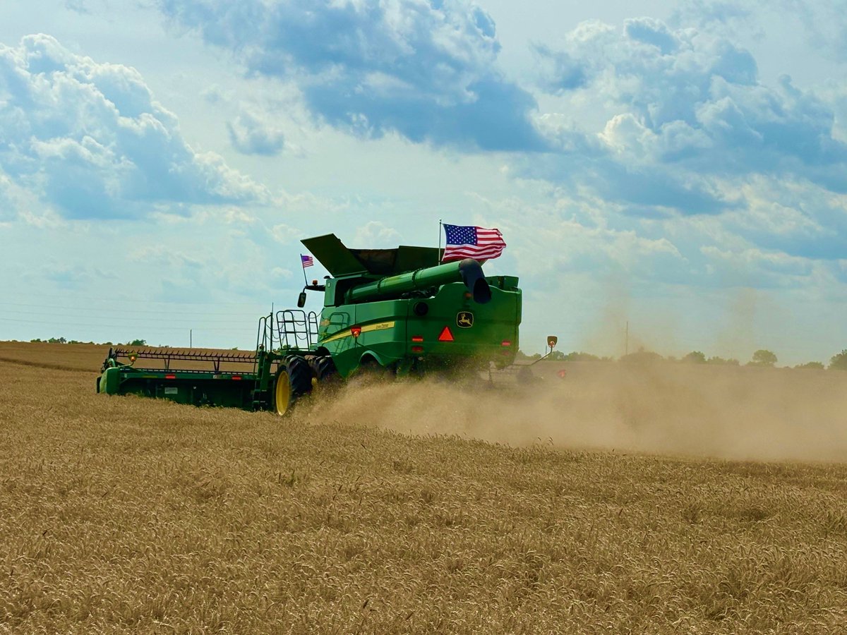 OSU_smallgrains's tweet image. Oklahoma #wheatharvest25 has picked up speed over the last two days, combines are rolling. While many areas are making fast progress, some producers are still battling muddy fields and wet conditions. See the latest harvest report below!
osuwheat.com