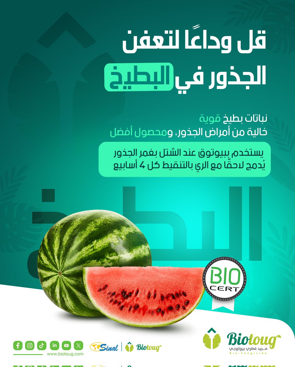 Biotoug_dz's tweet photo. دليل استخدام بيوتوق لمحصول البطيخ 🍉
لوقاية النباتات من الأمراض الفطرية مثل الفيوزاريوم والريزكتونيا،  
تصفح موقعنا لمعرفة المزيد من المعلومات: https://t.co/tDw1mLJcr8

#biotoug #fungicide https://t.co/cPjNDapMrU