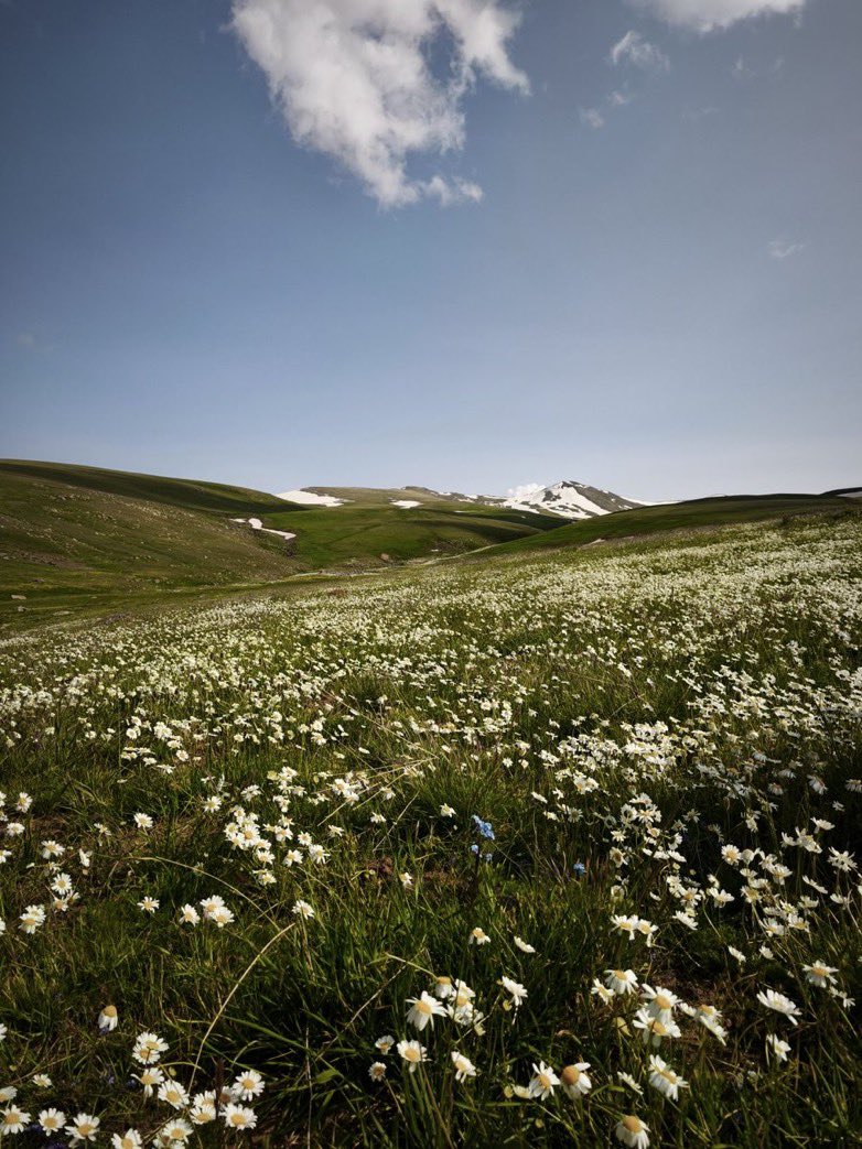 Avkevir / Agirî 🏔️

📸<a href="/goristan210320/">Goristan</a>