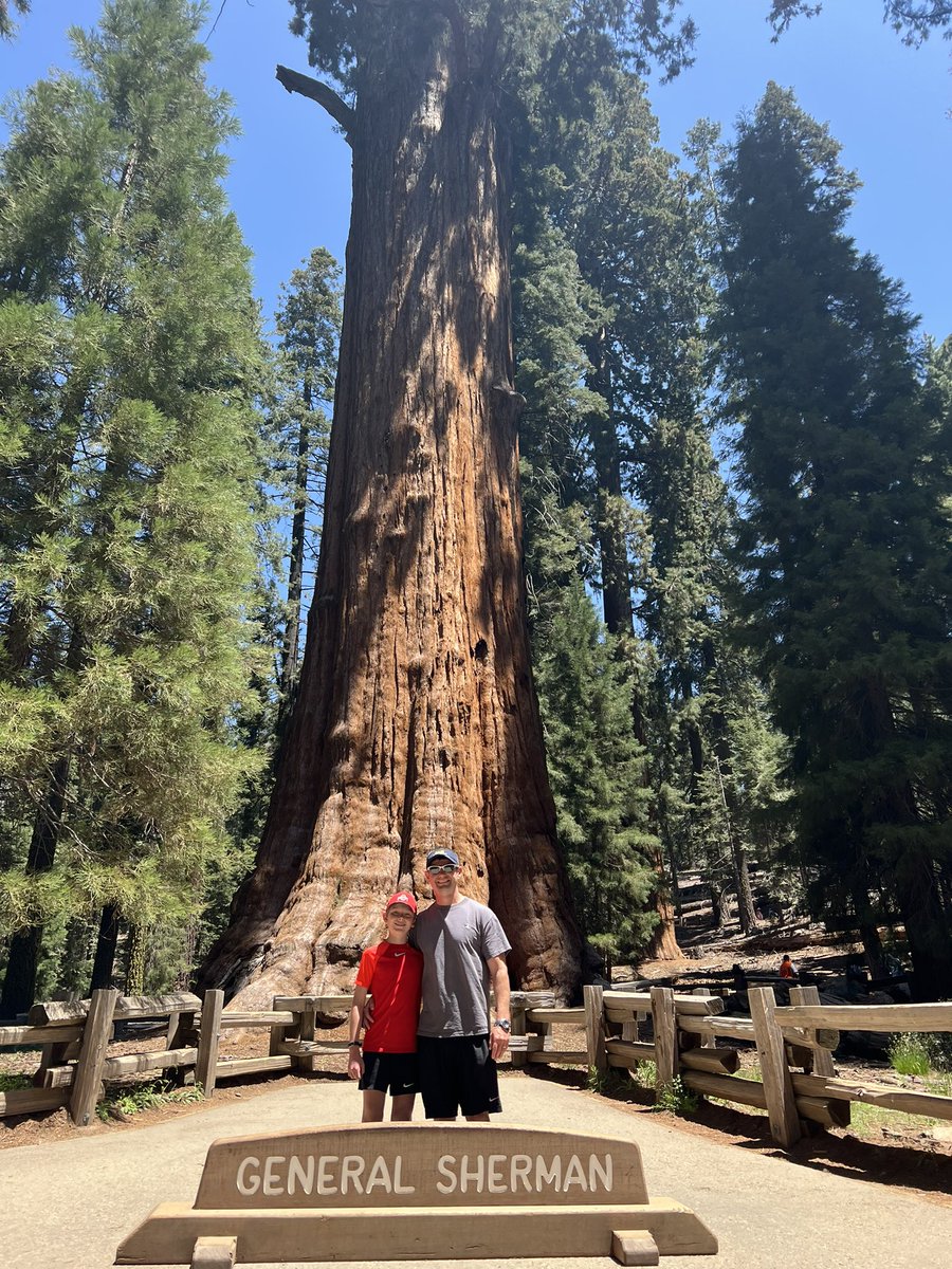 Steve Daulton tweet media