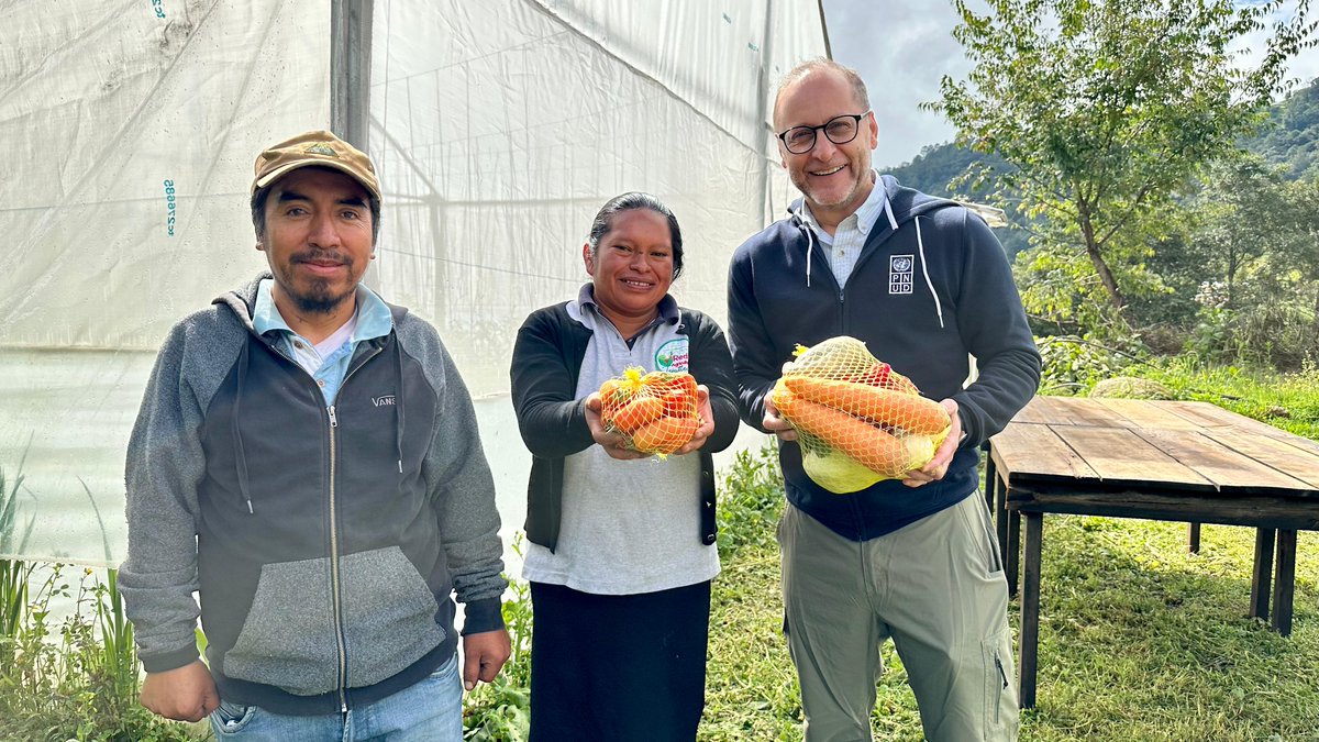 🧵👋🏾 ¡Acompáñanos en el último día de nuestra gira por el Altiplano Marquense para conocer sobre el Programa Conjunto #FIDAM! 

Hoy llegamos a Tejutla, donde conocimos a Beverly y la red de agricultores que, con 16 invernaderos, están transformando su economía familiar🚜⬇️