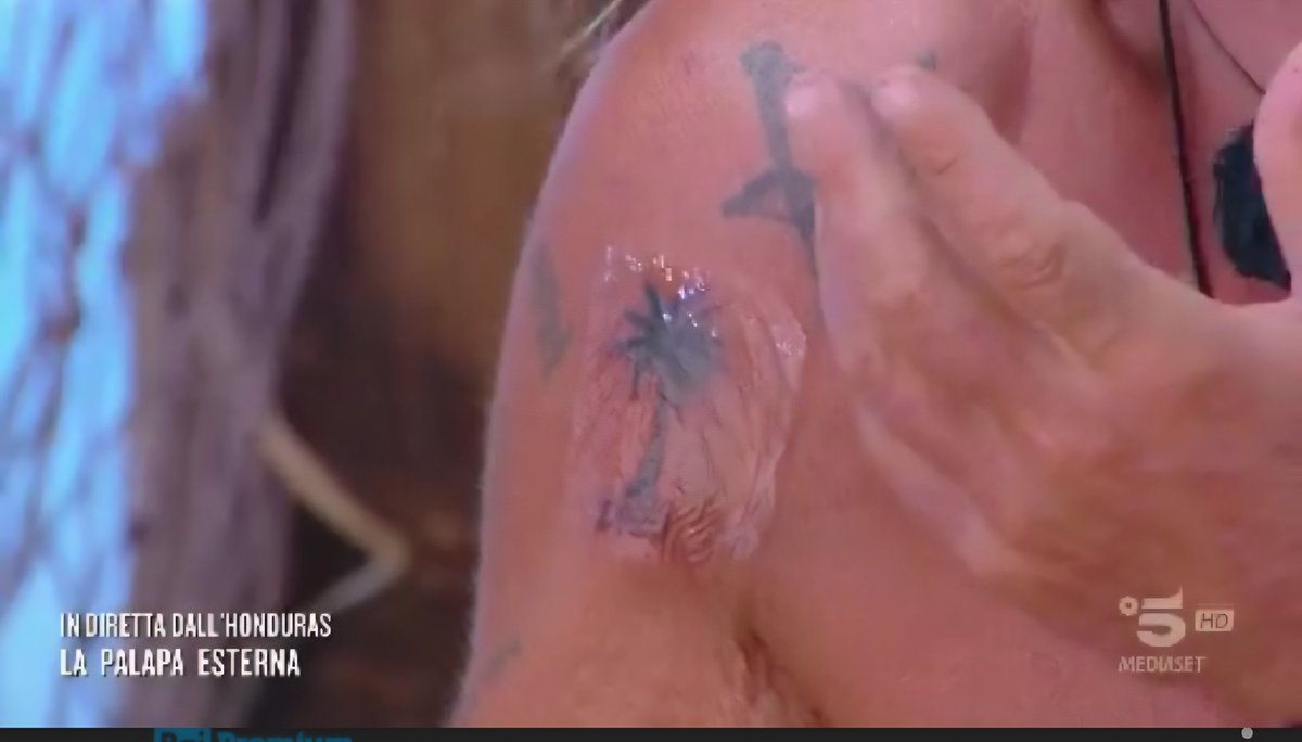 #isola #isoladeifamosi2025 
Il tatuaggio di Mirko, almeno un Cocco glielo poteva tatuare 😂😂