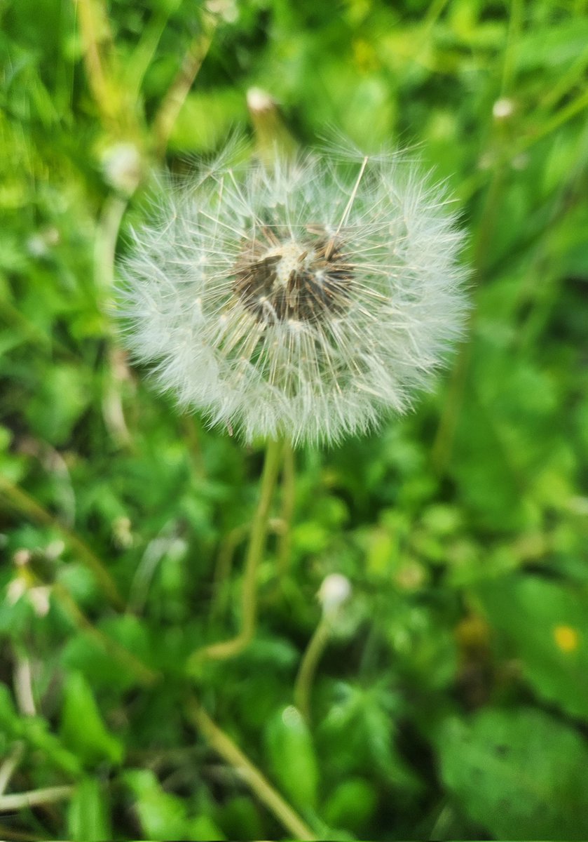 All we are is dust in the wind..