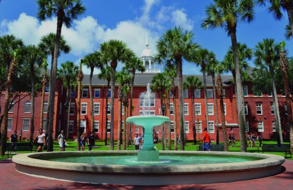 Stetson University. 💚🌴