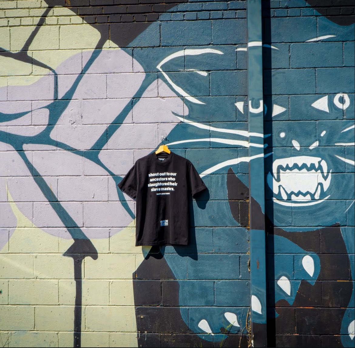 OpenSeasonCM's tweet image. Got your Juneteenth shirt?
openseasonclosedminds.com