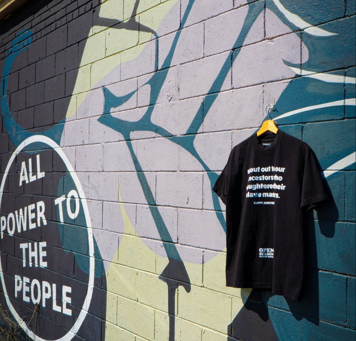 OpenSeasonCM's tweet image. Got your Juneteenth shirt?
openseasonclosedminds.com