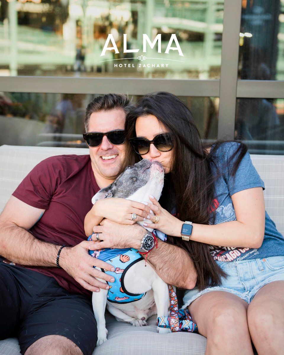 Staying at Hotel Zachary with your pup? 🐾 Don’t miss a tail-wagging good time at Barkuterie &amp; Bubbly Yappy Hour tonight from 5–8 p.m. 🐶 

Enjoy drink specials, doggy goodie bags, and more!

Tickets are $25 — plus, a portion of proceeds benefits <a href="/PAWSChicago/">PAWSChicago</a>! 💙