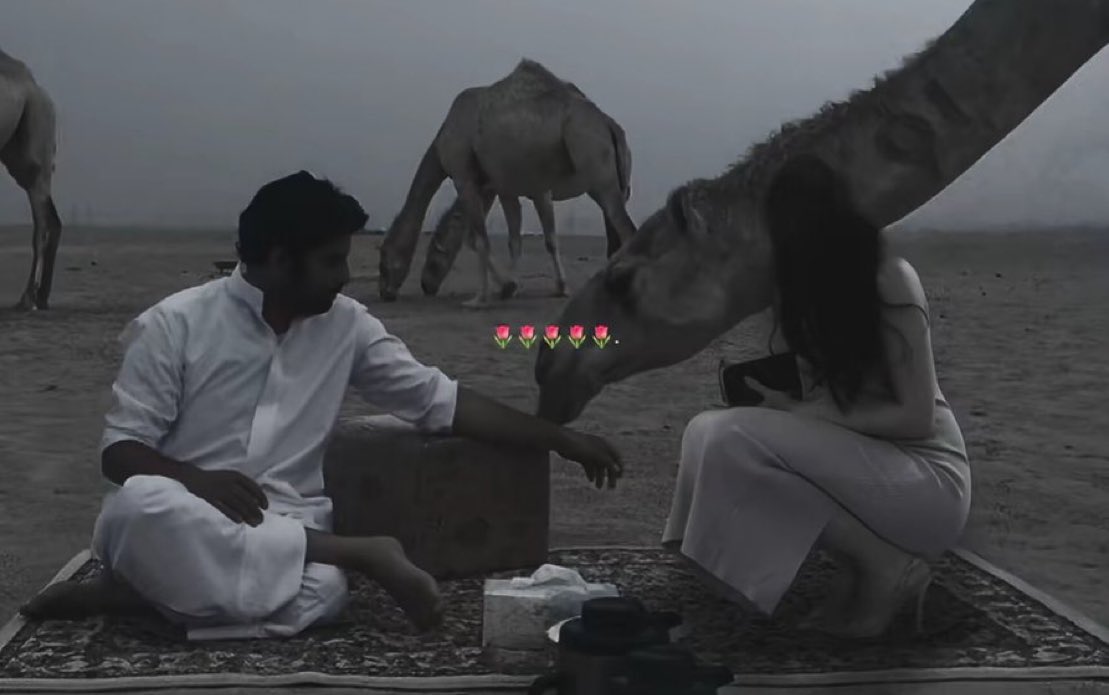 قصيده tweet media