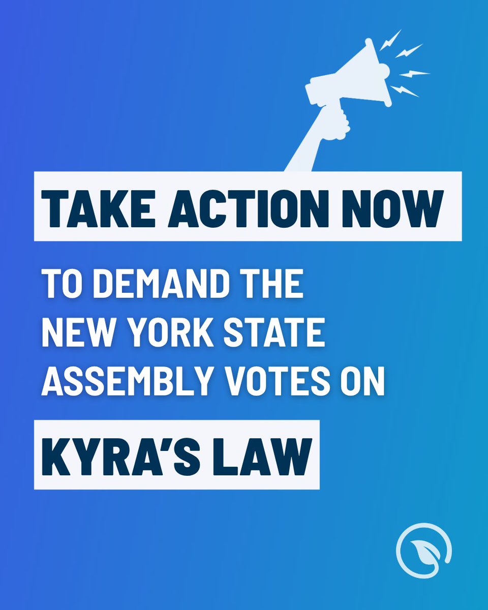 SFFNY's tweet image. After years of advocacy, Kyra’s Law is finally poised for a vote — so now is the time to make your voices heard!
Kyra Franchetti was only 2 years old when she was killed by her abusive father during a court-ordered, unsupervised visit.
Kyra’s Law would require courts to…