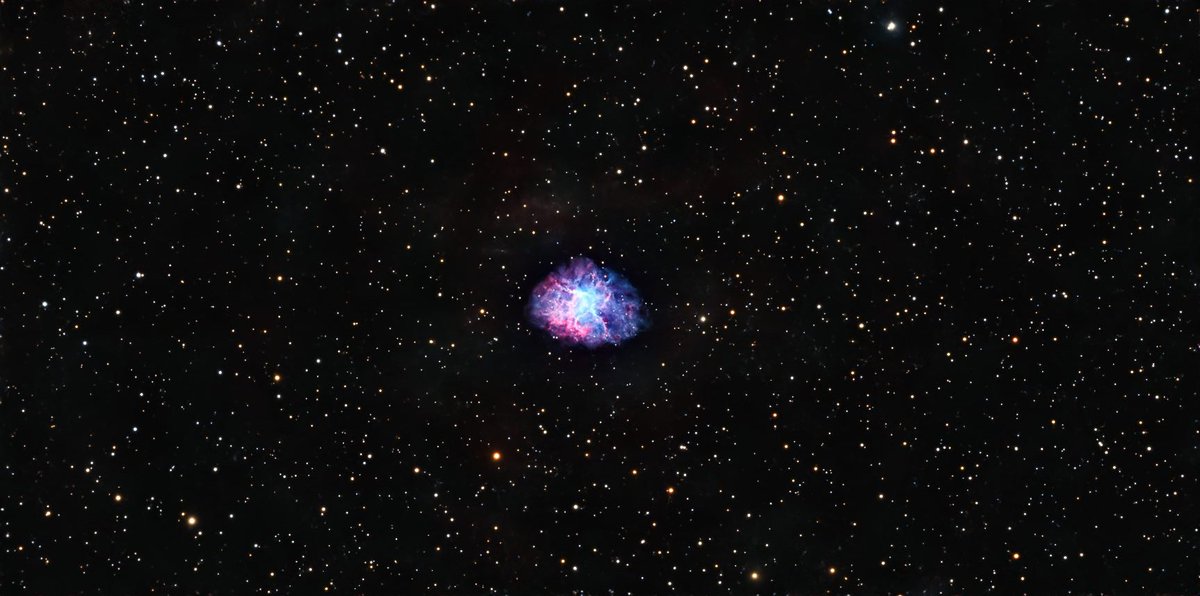 frouland92's tweet photo. M1 : The crab nebula in taurus #Seestar https://t.co/QZMjwvl5EY