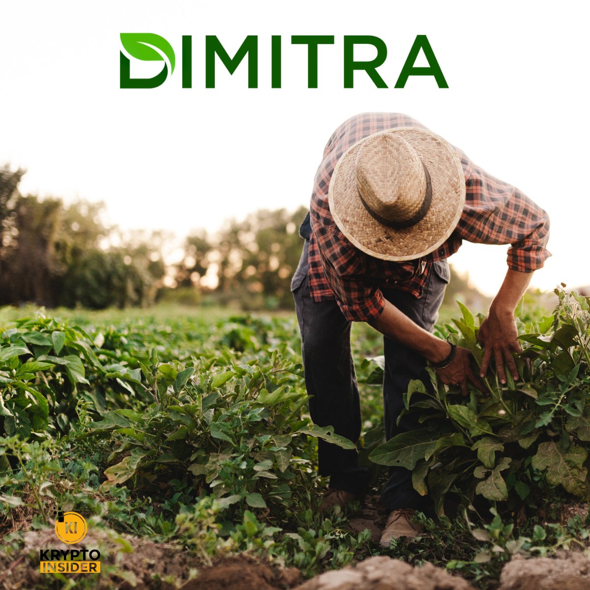 Krypto Insider 💫 (@kryptoinsider1) on Twitter photo 🚨 Real-World Change Starts on the Ground
At <a href="/dimitratech/">Dimitra Technology</a>, the focus is on creating meaningful impact through smarter tools and better decisions.
The $DMTR token gives access to a powerful platform where blockchain, AI, and satellite technology work together to support 🚨 Real-World Change Starts on the Ground
At <a href="/dimitratech/">Dimitra Technology</a>, the focus is on creating meaningful impact through smarter tools and better decisions.
The $DMTR token gives access to a powerful platform where blockchain, AI, and satellite technology work together to support