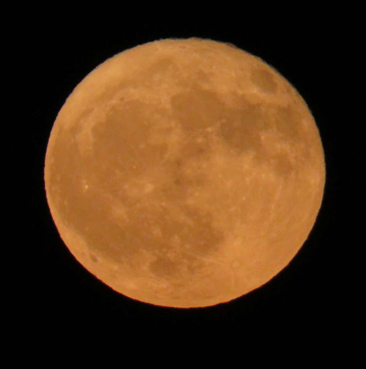 Spieler7 tweet media