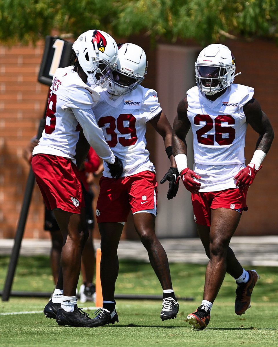 AZCardinals's tweet photo. 🎥 the INT
📸 the celly https://t.co/2Q0LXeBah6