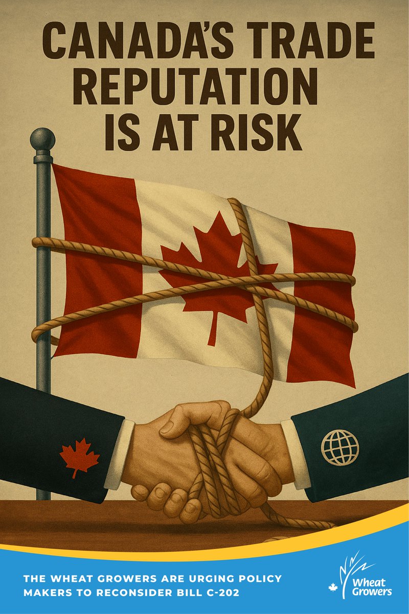 🚨 The Wheat Growers are urging policymakers to reconsider Bill C-202.

Limiting trade flexibility risks Canadian agriculture’s global competitiveness.

Protecting one sector shouldn't come at the expense of others.

📄 Full release:

wheatgrowers.ca/wheat-growers-…

#CdnAg #BillC202