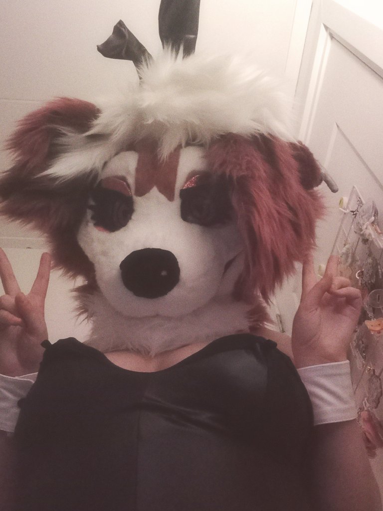 Bunny suit lycanroc~🖤