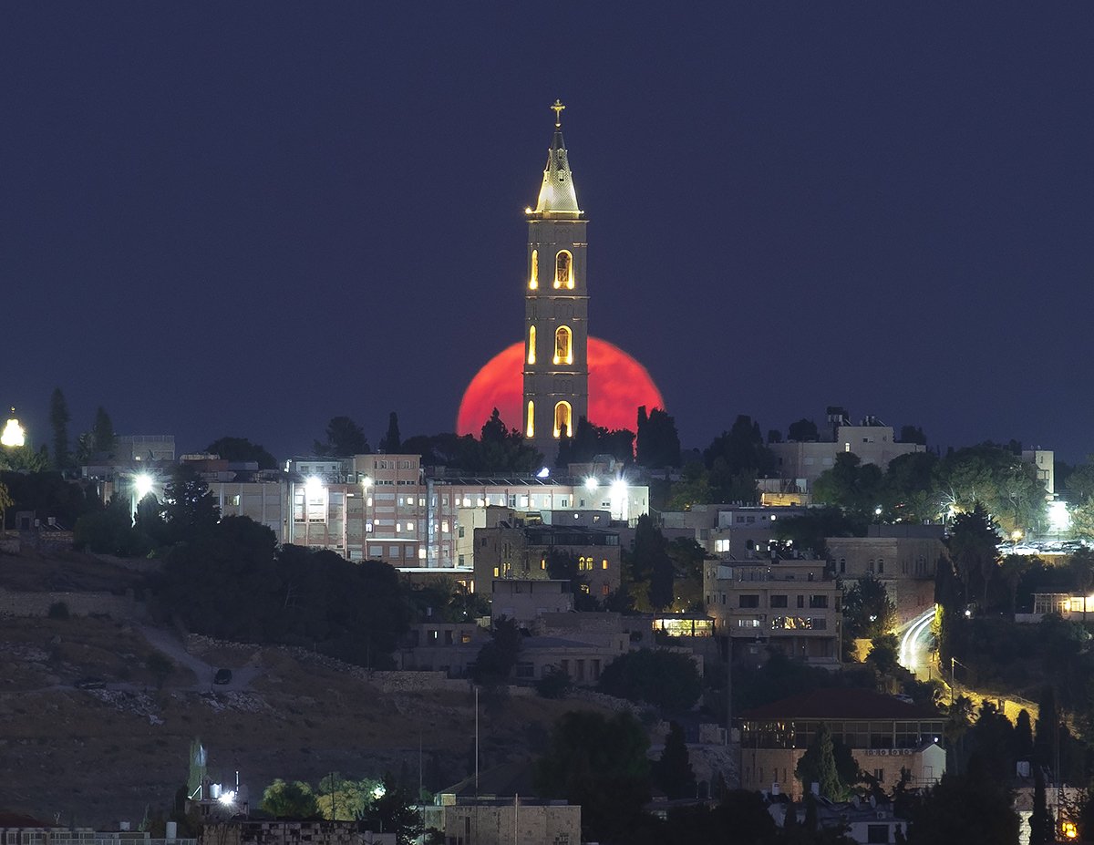 escli's tweet image. Попалась