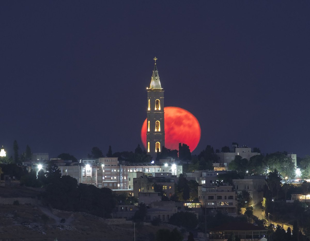 escli's tweet image. Попалась