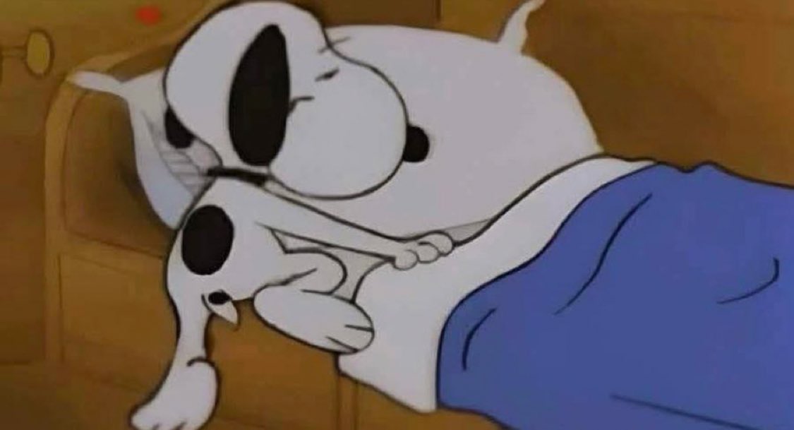 Yo regresándome a dormir porque faltan 5 minutos para que suene mi alarma: