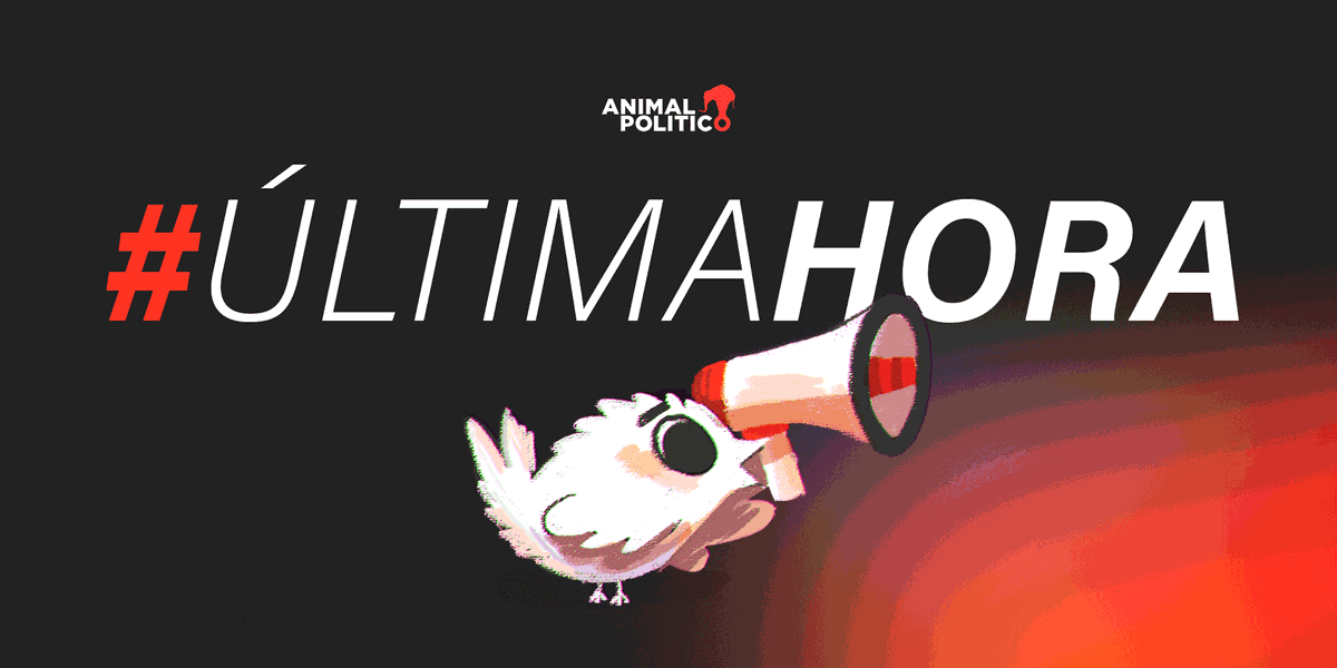 🔴#ÚltimaHora | Por mayoría de cuatro votos, la Primera Sala de la SCJN ordenó la “inmediata y absoluta libertad” de Juana Hilda González Lomelí, una de las personas acusadas por el llamado caso “Wallace”, al concluir que no existen pruebas suficientes para acreditar que ella