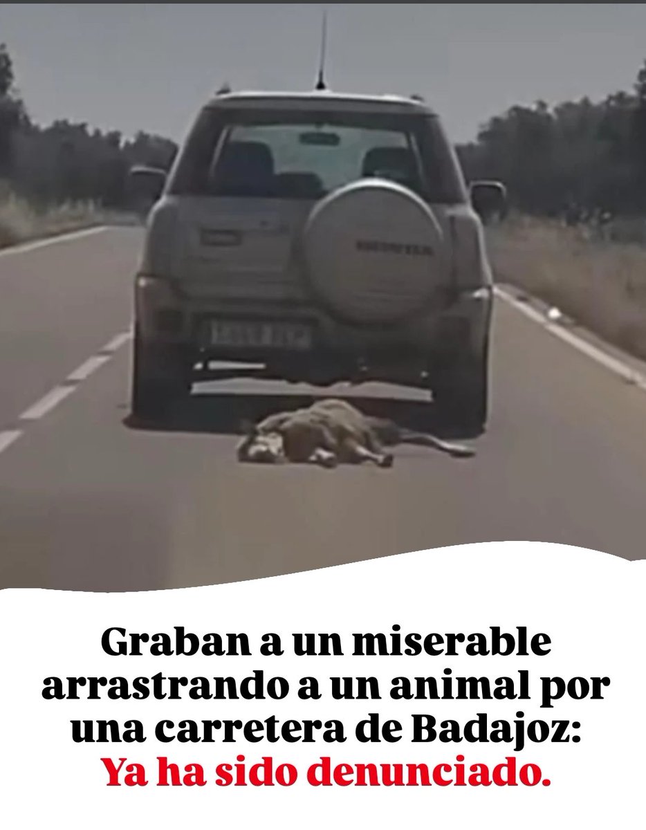 ruben_prz's tweet photo. No avanzamos.

No avanzamos en absoluto con este tipo de gente entre nosotrxs. https://t.co/PiwTL0xFk2