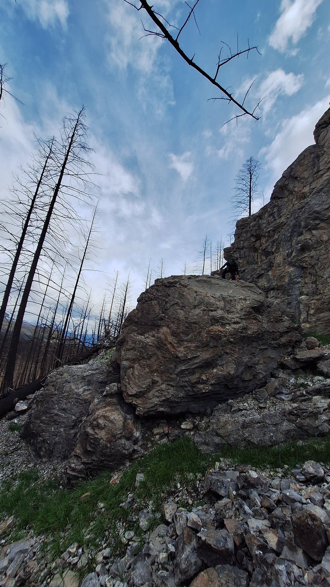 Back to the Ediacaran with friends!