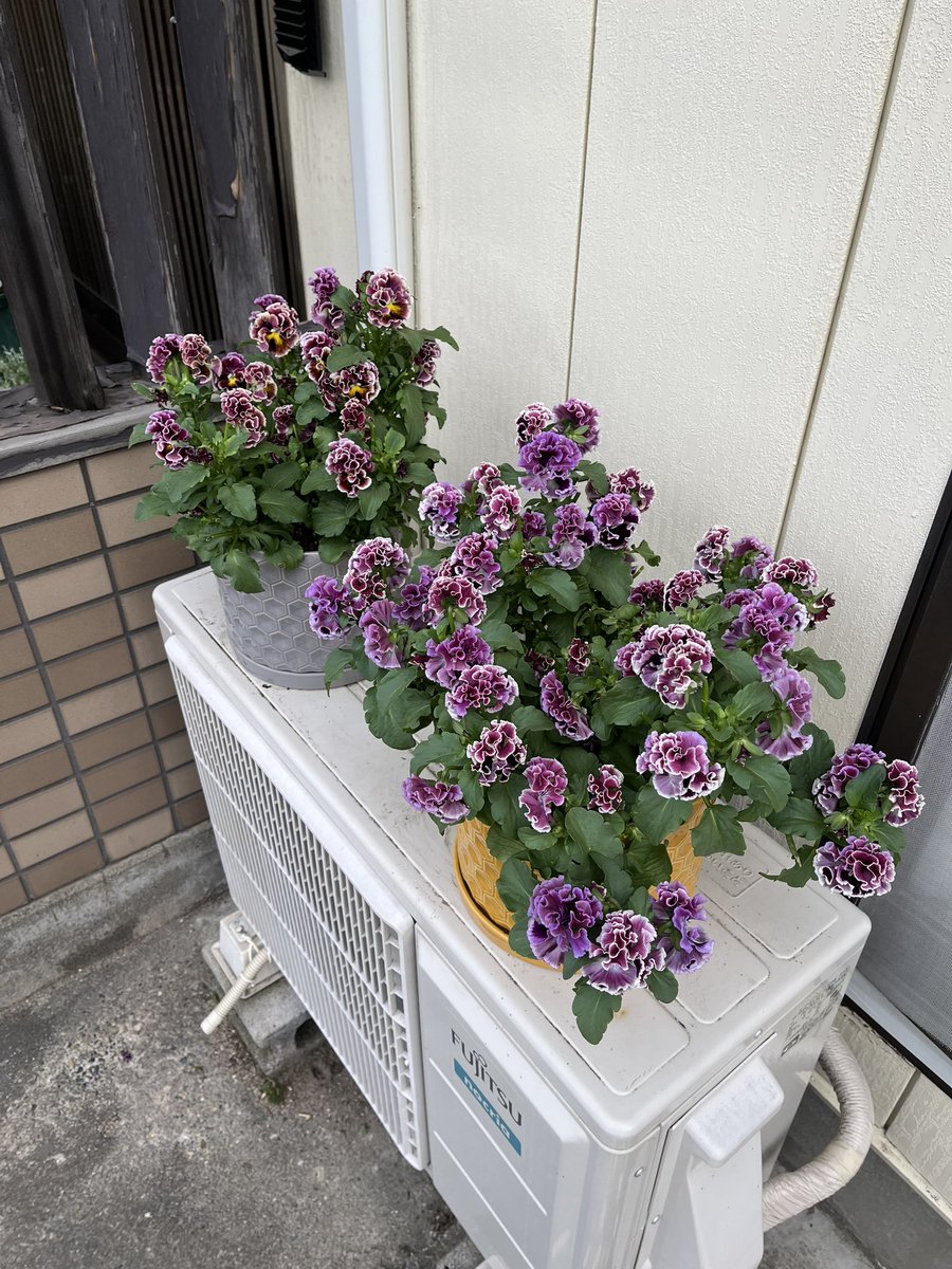 BAN99-METAL tweet media