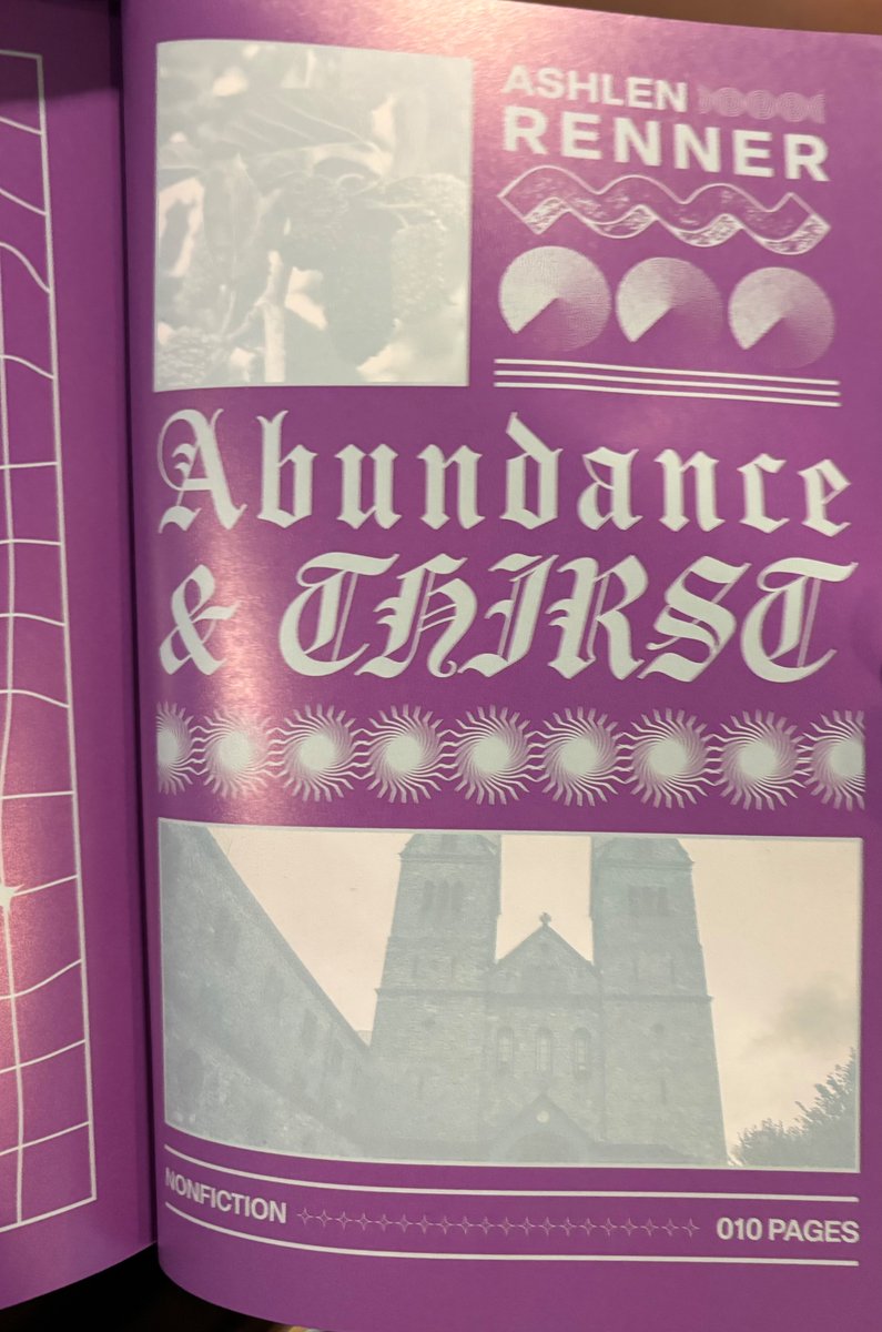 Timothy Denevi tweet media