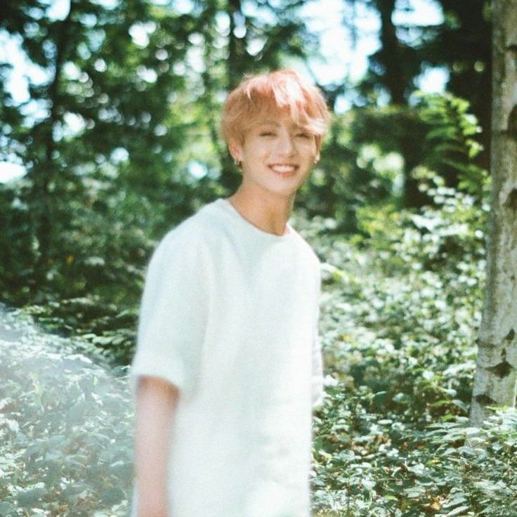 #autaekook — ¡Extraño en el jardín!
dónde jungko0k, un hada del jardín se encuentra con tæhyung, un botánico que estudiaba la zona el cual queda un poco sorprendido al verlo.