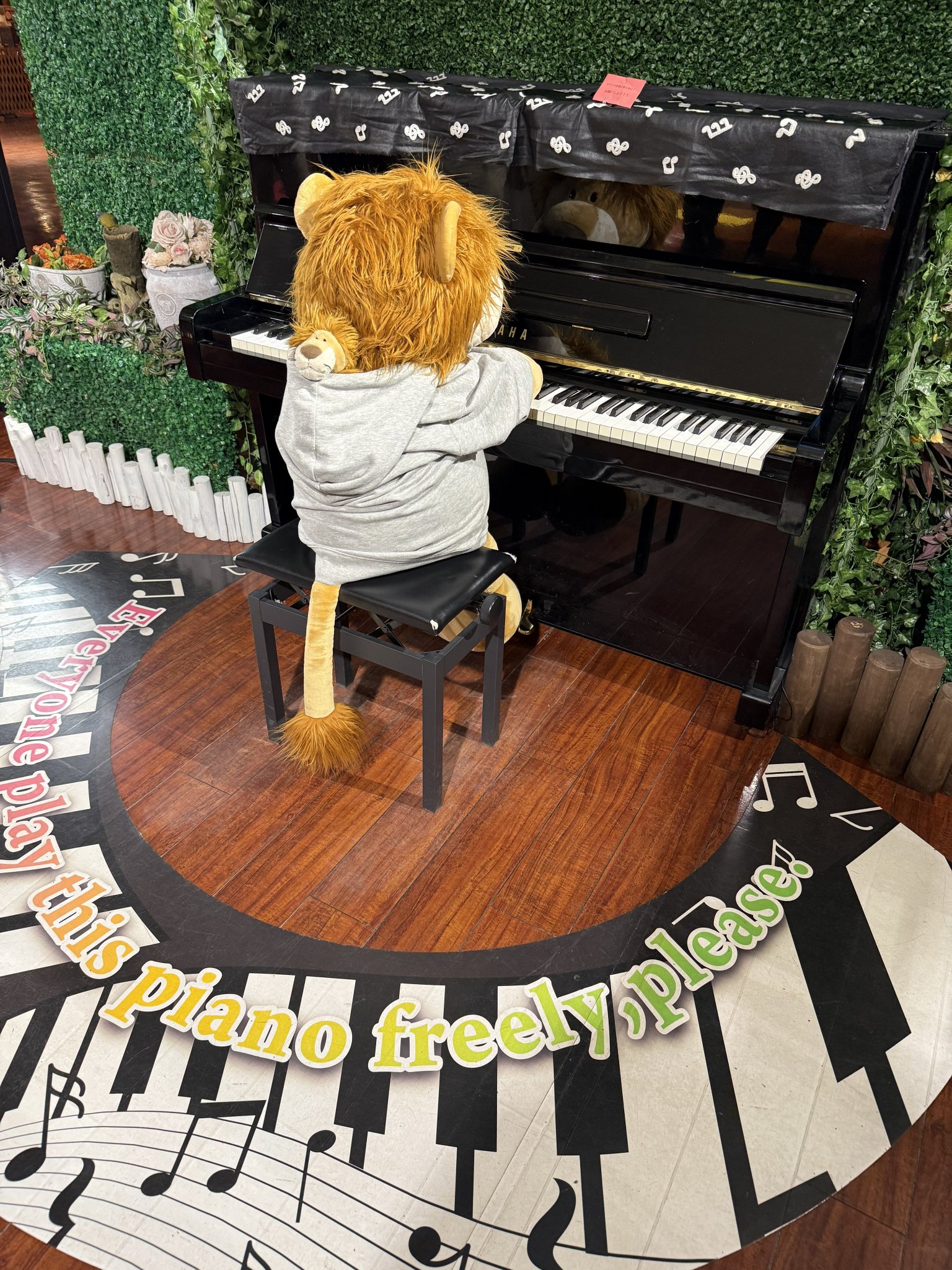 みやけん / Miyaken🦁 on X: 